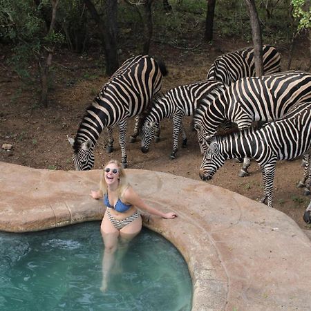 Kruger Park Hostel Marloth Park Εξωτερικό φωτογραφία