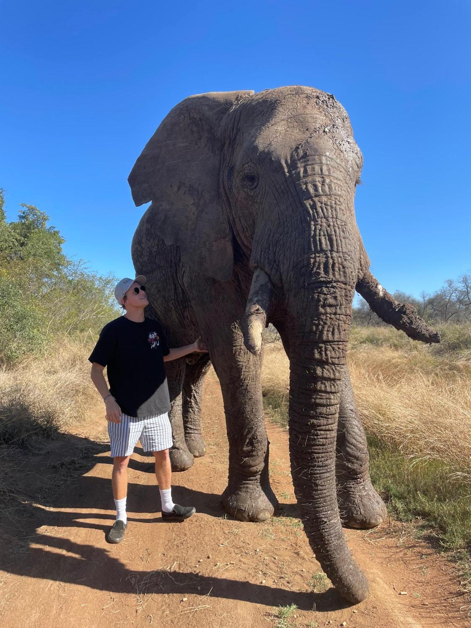 Kruger Park Hostel Marloth Park Εξωτερικό φωτογραφία