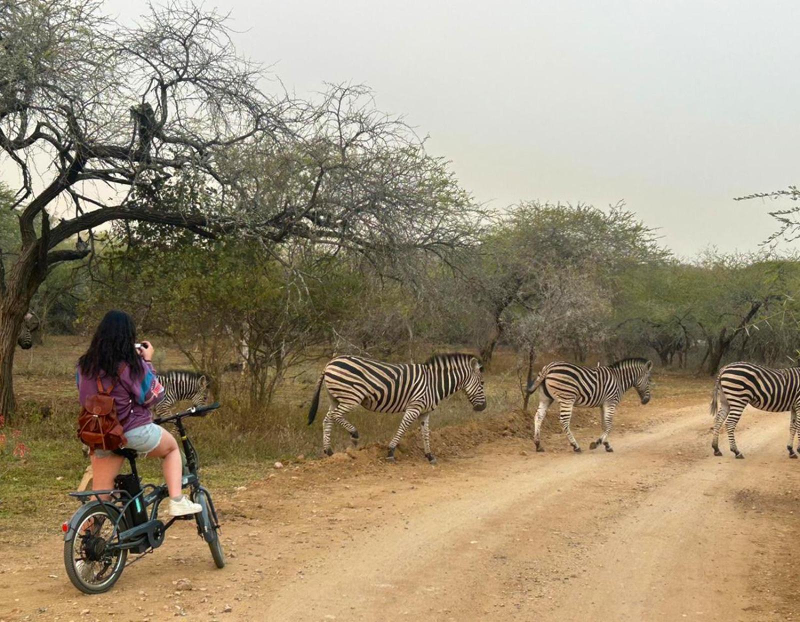 Kruger Park Hostel Marloth Park Εξωτερικό φωτογραφία