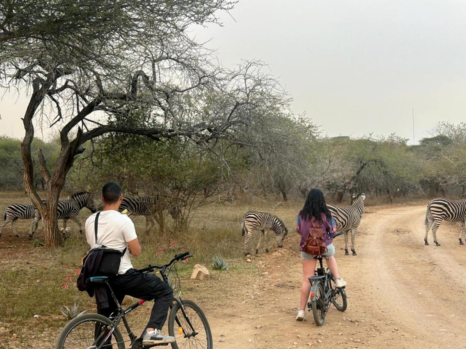 Kruger Park Hostel Marloth Park Εξωτερικό φωτογραφία